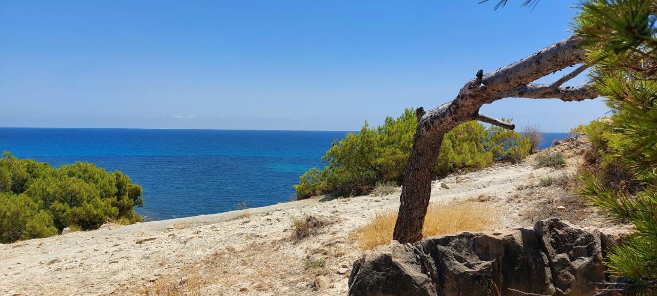 La Galatea Διαμέρισμα Villajoyosa Εξωτερικό φωτογραφία